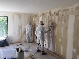 Best Forensic Mold Investigation in USA